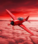 Aviator 1,954 R$ 9.892.644,65